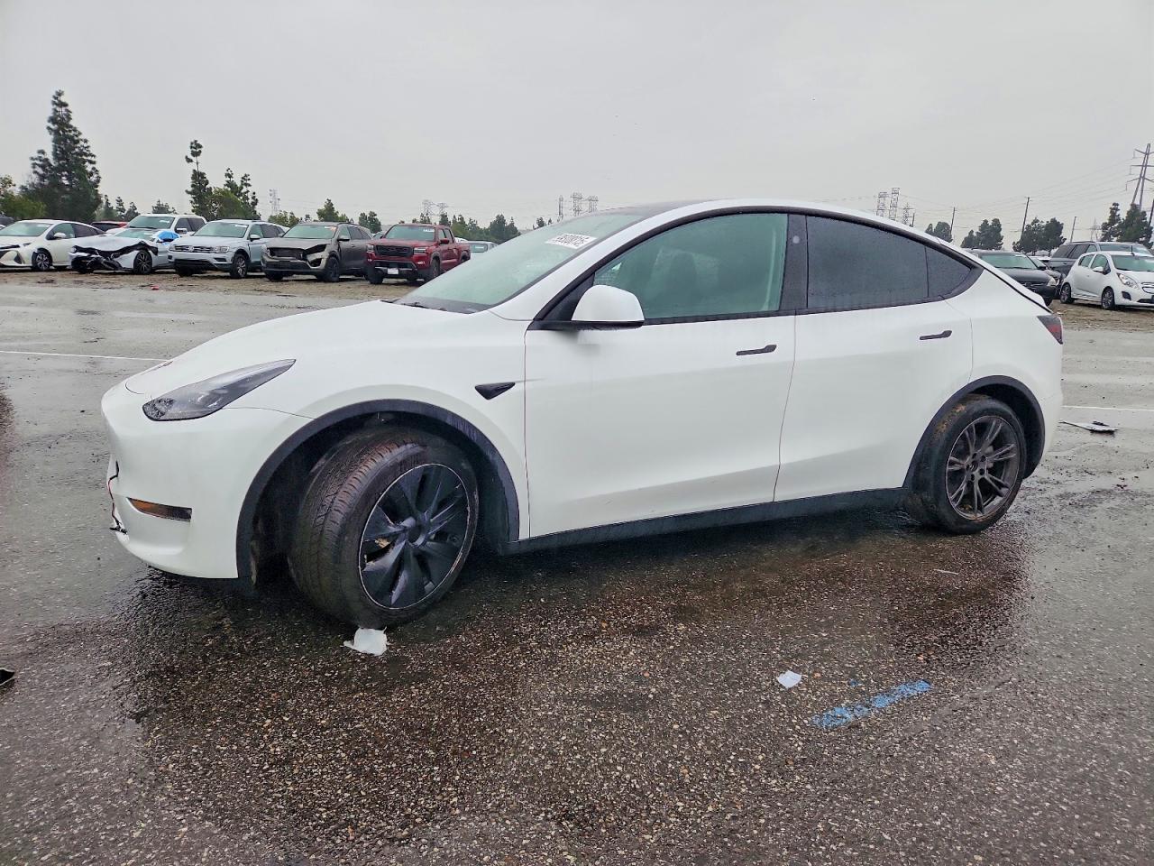 2024 TESLA MODEL Y — фото 1