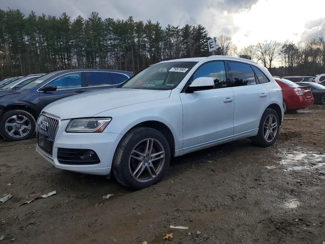 AUDI Q5