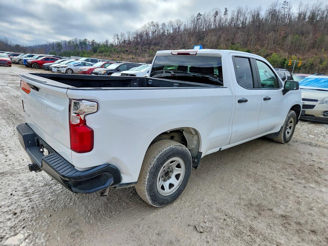 2019 CHEVROLET SILVERADO 1500 — фото 3