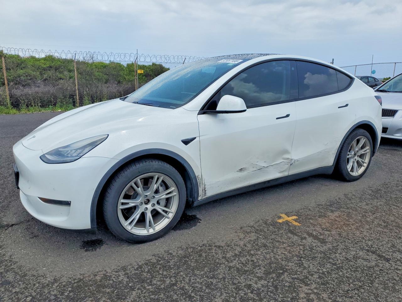 2021 TESLA MODEL Y — фото 1