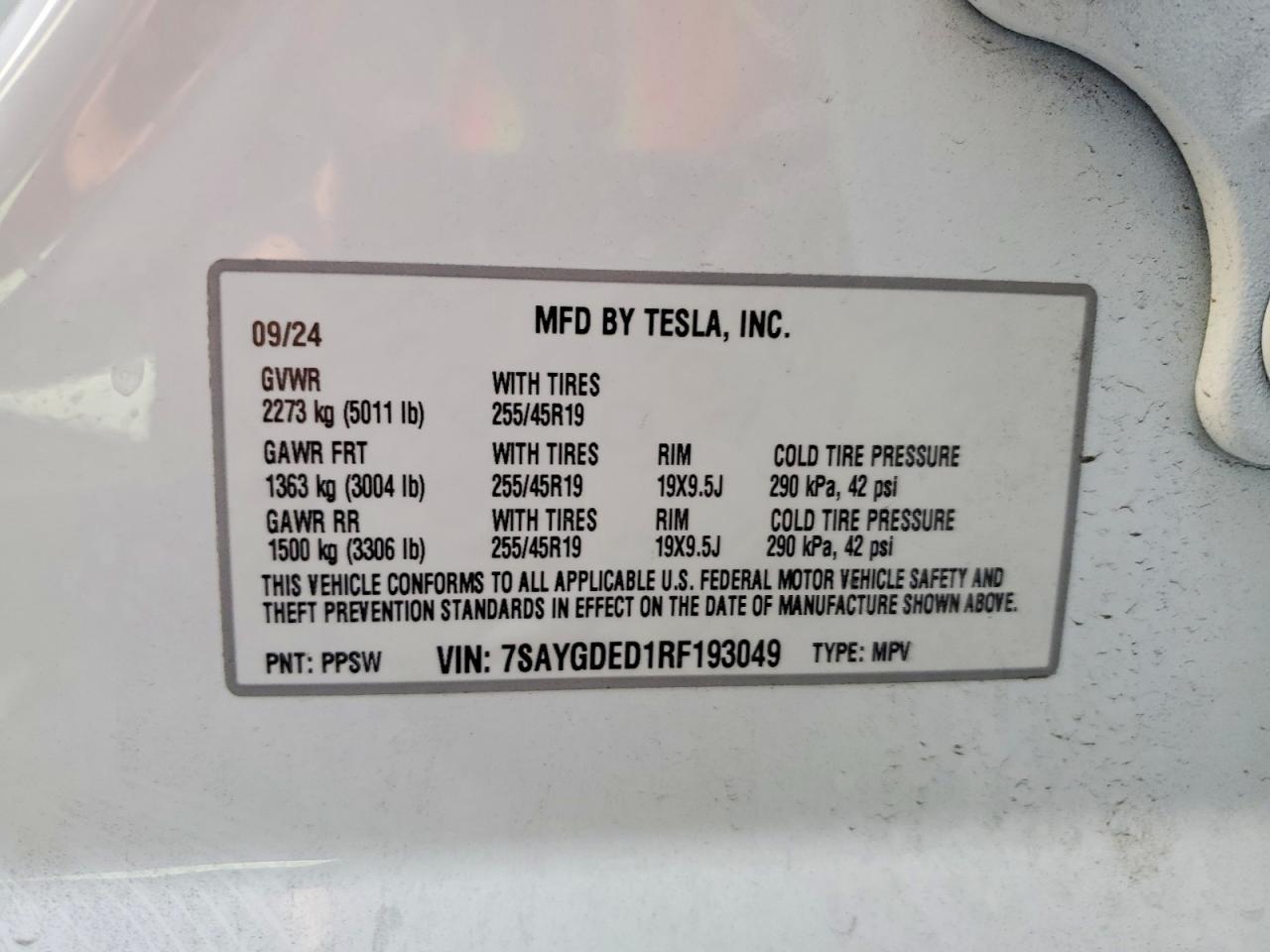 TESLA MODEL Y