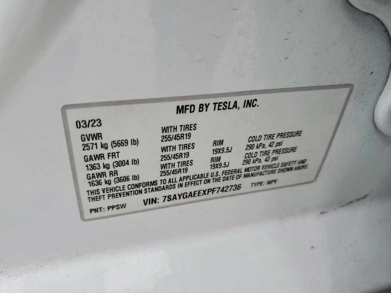 TESLA MODEL Y