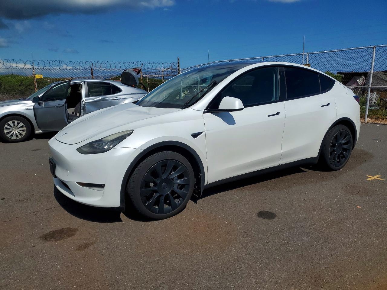 2021 TESLA MODEL Y — фото 1