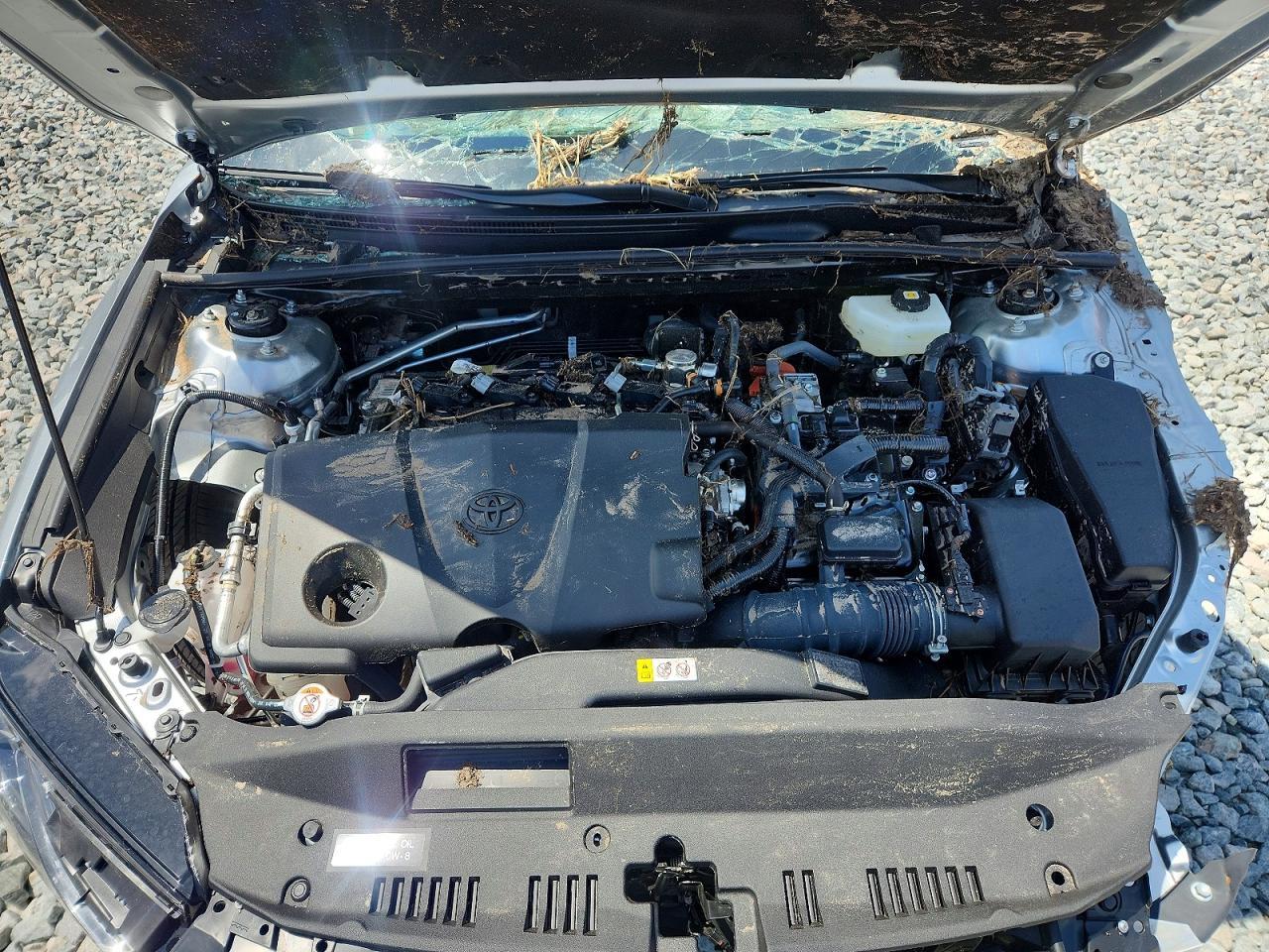 2026 TOYOTA CAMRY HYBRID — фото 11