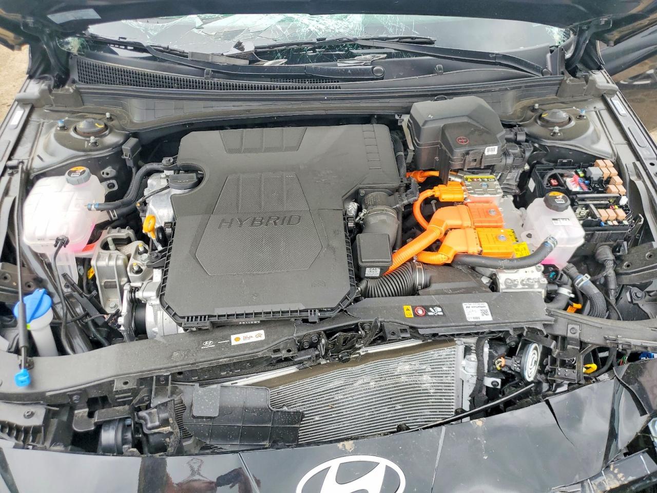 2026 HYUNDAI ELANTRA HYBRID — фото 11