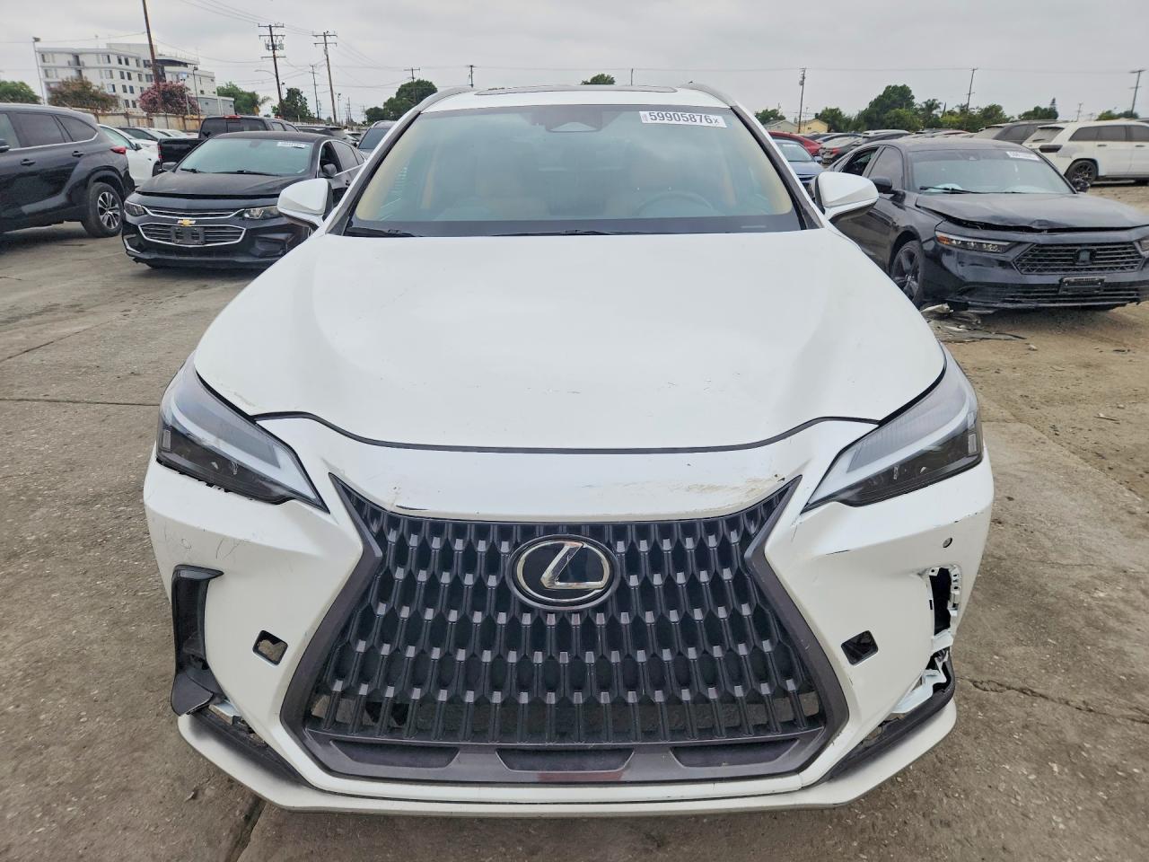 2024 LEXUS NX 350H — фото 5