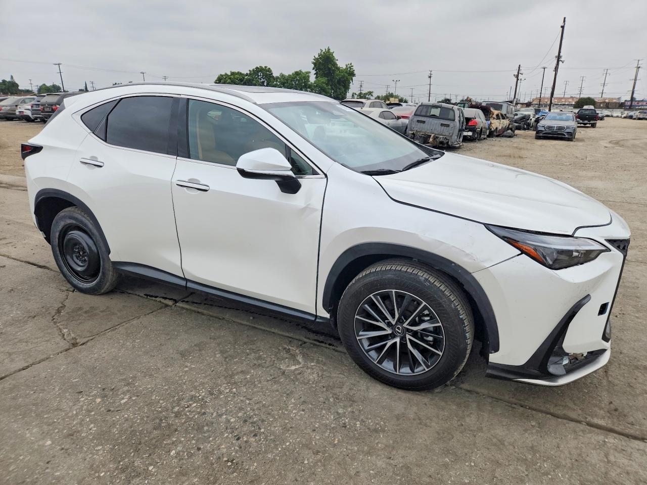 2024 LEXUS NX 350H — фото 4