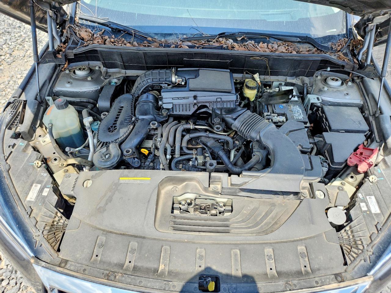 2019 INFINITI QX50 — фото 11