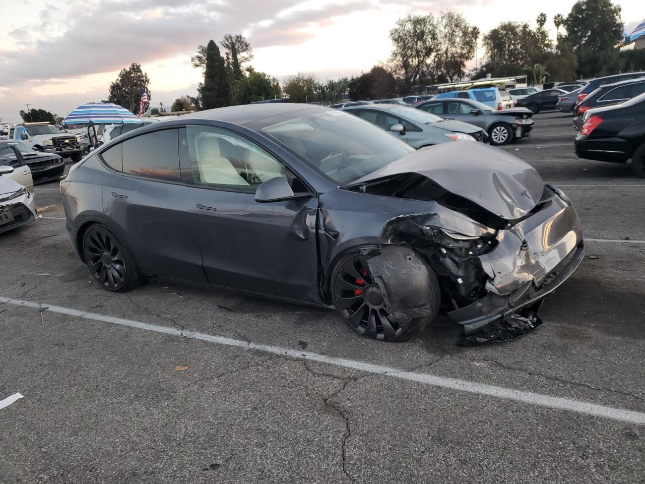 TESLA MODEL Y