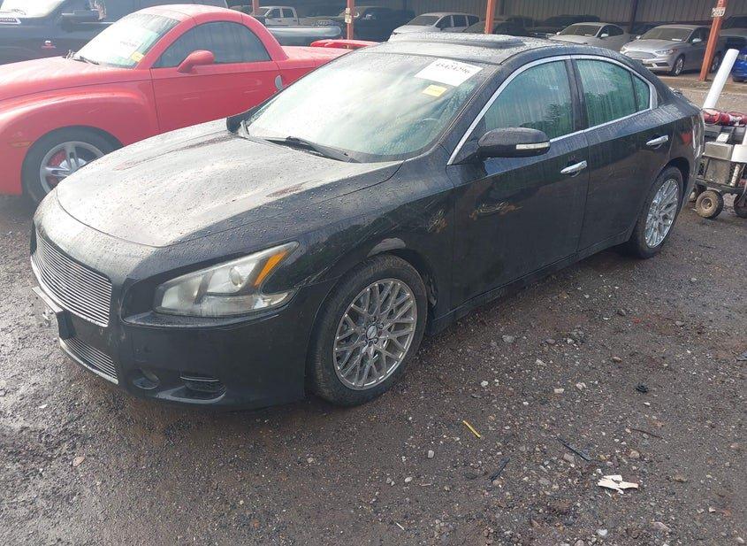 Nissan Maxima