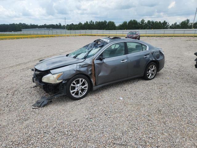 Nissan Maxima