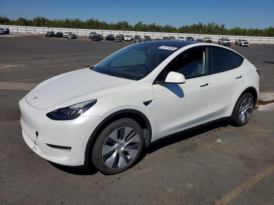 2023 Tesla Model Y — фото 1