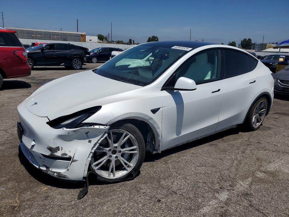 2023 Tesla Model Y — фото 1
