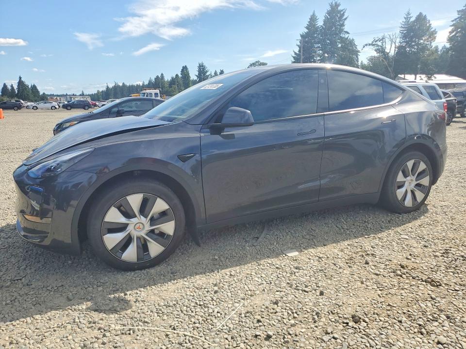 2024 Tesla Model Y — фото 1