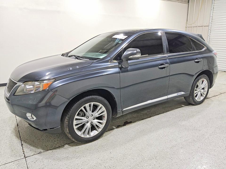 Lexus Rx