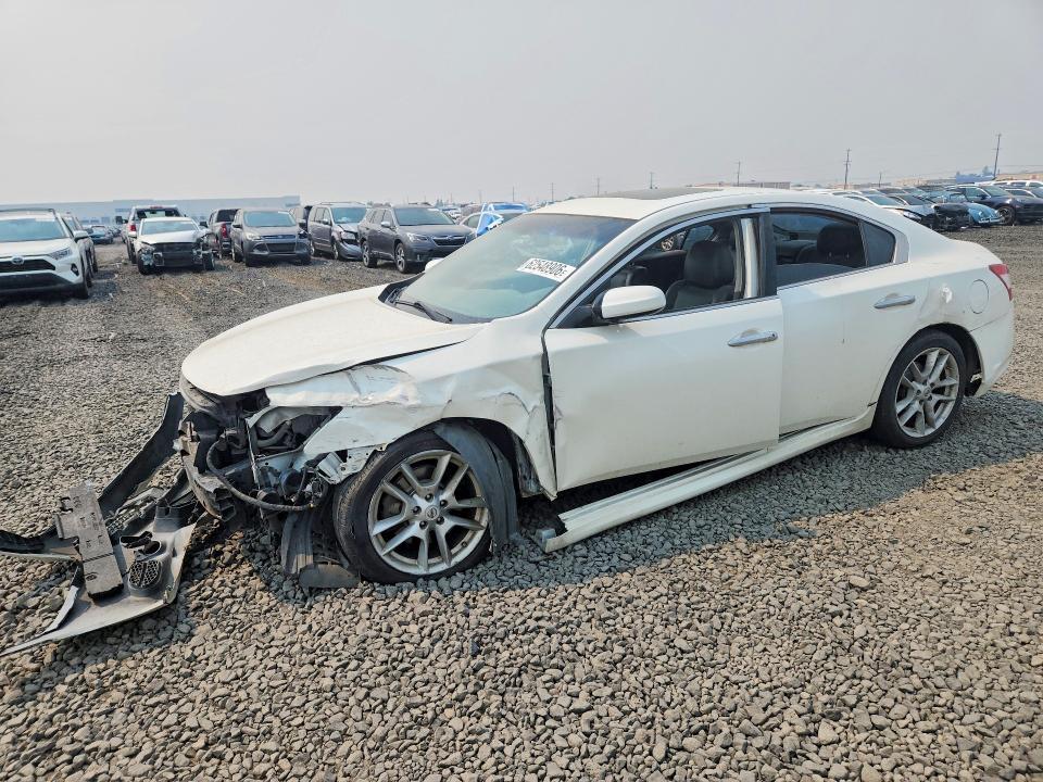 Nissan Maxima