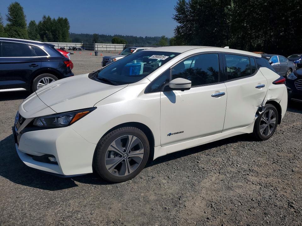 2019 Nissan Leaf — фото 1