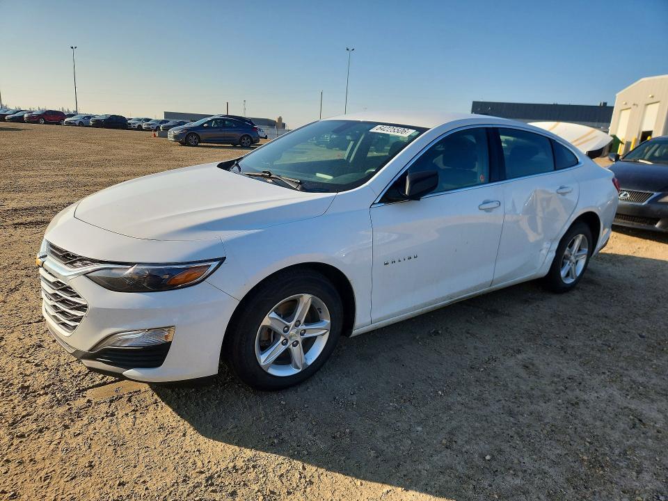 2019 Chevrolet Malibu — фото 1